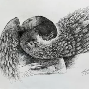 Mazher Nizar1