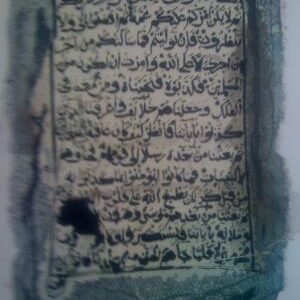 Nasser_Alaswadi29 Nasser_Alaswadi29