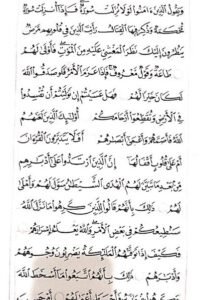 Hani-Alraimi (11) Hani-Alraimi (11)
