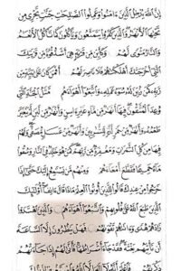 Hani-Alraimi (13) Hani-Alraimi (13)