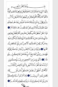 Hani-Alraimi (4) Hani-Alraimi (4)
