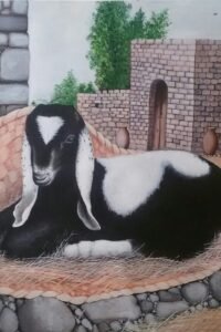 alaa aldaajri6