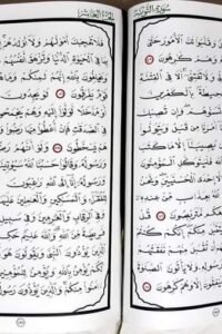 ابراهيم النهاري6